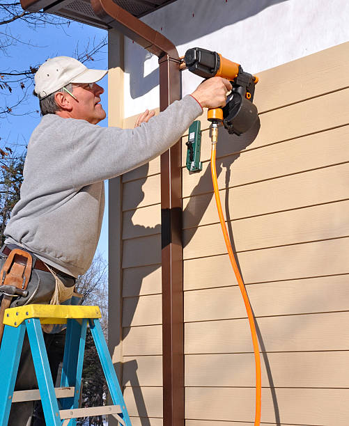 Best Siding Replacement  in Carmel, IN