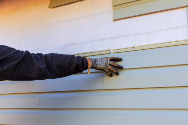 Best Custom Siding Design  in Carmel, IN